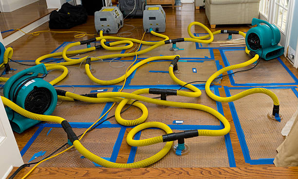 Professional Structural Drying And Dehumidification technician working in Bunnlevel, NC